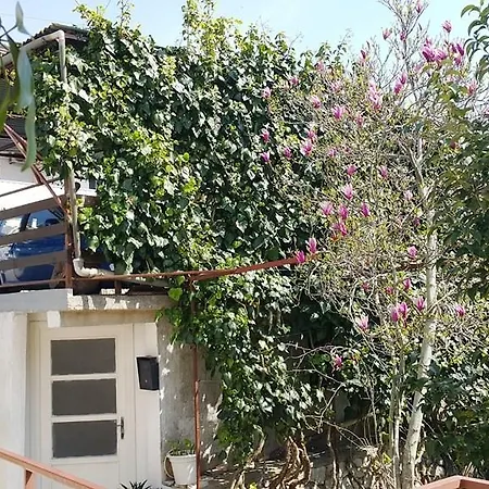 Apartment In Malinska - Insel Krk 12860
